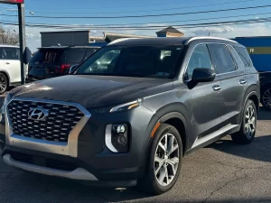 2020 Hyundai Palisade SEL showcasing its sleek design and modern features.