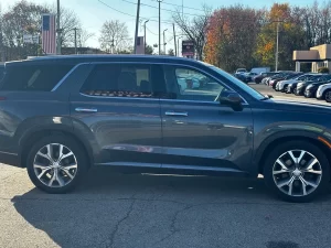 2020 Hyundai Palisade SEL showcasing its sleek design and modern features.